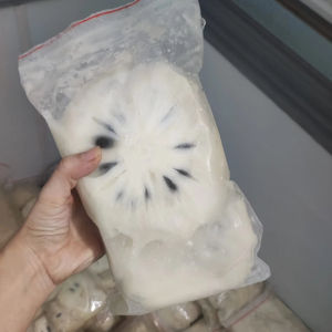 Guanábana congelada de alta calidad | 100% Fruta congelada fresca | El mejor precio al por mayor Guanábana congelada de Vietnam - Product Image 1