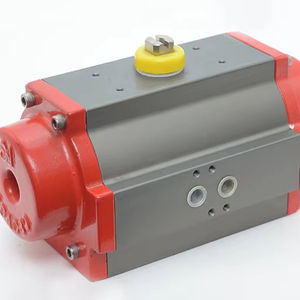 Componentes Centrales del Motor: Actuadores de Piñón y Cremallera - Product Image 2