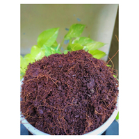 Briques de fibres de coco naturelles de 11 lb, tourbe de coco biologique, milieu pour semis, culture sans terre, écologique, bran de coco, agriculture