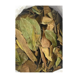 1000g Venta caliente Tendencia popular en el mercado de EE. UU. Té de hoja de Guanábana seca Hojas de Guanábana Té de Graviola seco a la venta Hoja de Guanábana seca - Product Image 3