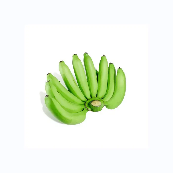 Meilleur 100% banane verte de haute qualité banane Cavendish fraîche prix bon marché pour Offres Spéciales banane cavendish verte fraîche de haute qualité