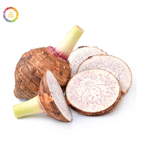 เผือกแช่แข็งจากเวียดนามดำเนินการเพื่อความสะดวกและมีคุณภาพที่สม่ำเสมอ - Product Image 1