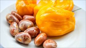 ผงเมล็ดขนุนอบแห้ง ออร์แกนิค แช่แข็ง พรีเมียม สำหรับส่งออก เมล็ดขนุนสด - Product Image 5