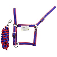 Ensemble de laisse et de harnais anglais en nylon réglable sur mesure pour chevaux, 2 mètres, écologique, logo personnalisé, qualité supérieure, robuste