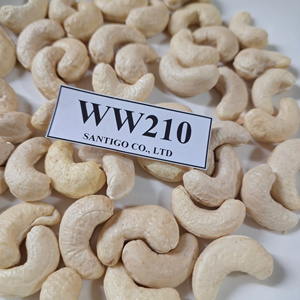 Usine directe Kaju noix de cajou WW210 noix sèches SANTIGO noix et amandes taxe gratuite origine Vietnam - Product Image 1