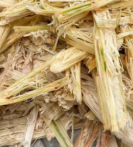 BAGASSE DE CANNE À SUCRE EN VRAC QUALITÉ SUPÉRIEURE BIOMASSE NATURELLE FOURNITURE D'EXPORTATION PRODUIT HOT DEAL TOP VENTES MEILLEURE OFFRE PROMOTION - Product Image 1