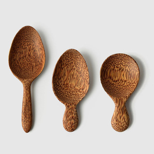 Cuillères et cuillères en matériau écologique, cuillère et cuillère en bois de noix de coco au meilleur prix du Vietnam - Product Image 1