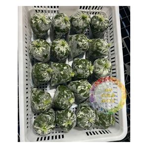 IQF มันสำปะหลังแช่แข็งใบจากเวียดนามจัดหาจำนวนมากสำหรับการใช้ทำอาหารการเกษตรและจัดจำหน่าย - Product Image 6