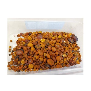 Wholesale Bulk buy Cow Gall Stones / <strong>Ox</strong> Gallstones for Sale - Product Image 1