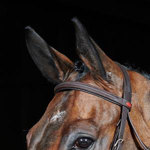 พร้อมขี่หนังแฟลช Bridle สีดําหรือสีน้ําตาลขายส่งตะวันตกเต็มม้าชุด Bridle ดัดชุด Bridle ทําจาก - Product Image 2