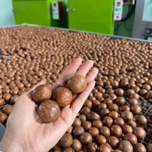 ราคาถูก คุณภาพสูง ถั่วแมคคาเดเมีย บรรจุภัณฑ์สุญญากาศ ผลิตภัณฑ์ถั่วเวียดนาม ปี 2025 - Product Image 2