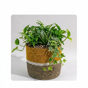 Maceta Minimalista Hecha a Mano, Ecológica, de Hierba Marina Tejida, Estilo Bohemio, Colorida y a Rayas, para Uso en Interiores del Hogar, Jardín, Macetas para Flores - Product Image 3