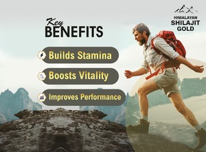 Offre Spéciale du fournisseur direct de l'usine Raskam Shilajit Gold Effervescent Enhamina Vitality Enhancer Adultes Himalayan Shilajit - Product Image 4