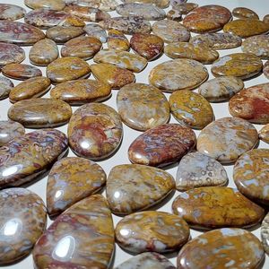 AAA Grado Natural Ciruela Madera Ágata Jasper Piedra preciosa Cabujón Forma libre Color verde Mezcla Forma y tamaño Lote al por mayor de alta calidad - Product Image 3