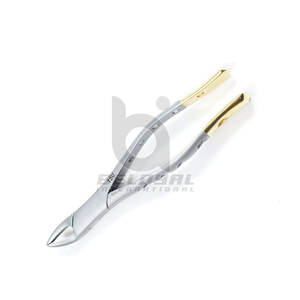 Fórceps de extracción dental anterior Instrumentos quirúrgicos Herramientas dentales de acero inoxidable Fórceps de extracción dental de acero inoxidable - Product Image 3