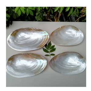 จานหอยมุกที่ทำด้วยมือสุดหรูเหมาะสำหรับการรับประทานอาหารทะเลชั้นดีและการต้อนรับแบบขายส่ง - Product Image 5