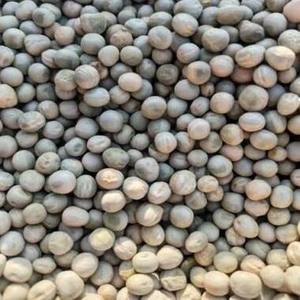 Guisantes Verdes Orgánicos de Alta Calidad, Secos, Limpios, Pulidos o Sin Pulir, Origen UZ, 12 Meses de Duración, Grado A, 100% Naturales - Product Image 1
