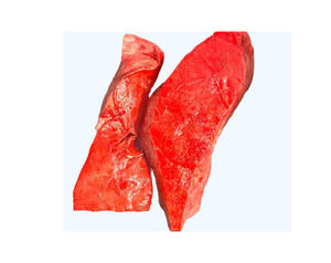 Pulmones de res ofrecidos a precios mayoristas asequibles, disponibles a granel, ideales para distribución y fabricantes de alimentos. - Product Image 2