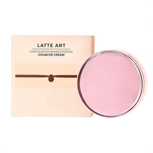 Esencia Nutritiva para la Piel, Polvo de Agua, Crema Hidratante, Corrector Ligero, Base de Maquillaje Delicada con Efecto Cojín de Aire - Product Image 6