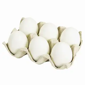 Huevos de mesa de gallina fresca/Huevos de mesa marrones frescos al por mayor Huevos de gallina a precios asequibles razonables