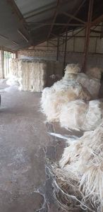 Fibra de Sisal 100% Natural, fibra de Sisal importada para venta a precio de fábrica barato - Product Image 4