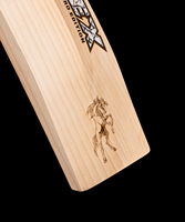 Bâton de cricket en saule anglais HS Apex Duck Bill |   Pro Balance, bords épais, léger, 40 mm |   Étui Premium Poignée Courte/Longue