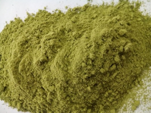 POUDRE DE PENNYWORT DE HAUTE QUALITÉ/BIOLOGIQUE ET SANS ADDITIF/VENTES EN GROS COMPÉTITITIVES/MADE IN VIETNAM - Product Image 3