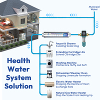 BriskSpring Détartreur et Adoucisseur d'Eau Physique Non Électrique pour Toute la Maison et VR, Compatible avec Raccord en Cuivre, 3/4 Pouce, En Ligne, 4 T/h
