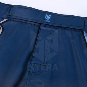 Pantalones cortos de MMA para hombre de nuevo estilo de color personalizado, ropa de artes marciales personalizada hecha en Pakistán a la venta - Product Image 4