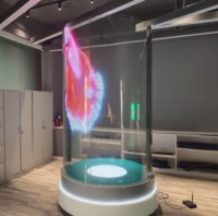 Tube acrylique de 10 pouces de longueur et 2 mm d'épaisseur pour la publicité LED 3D