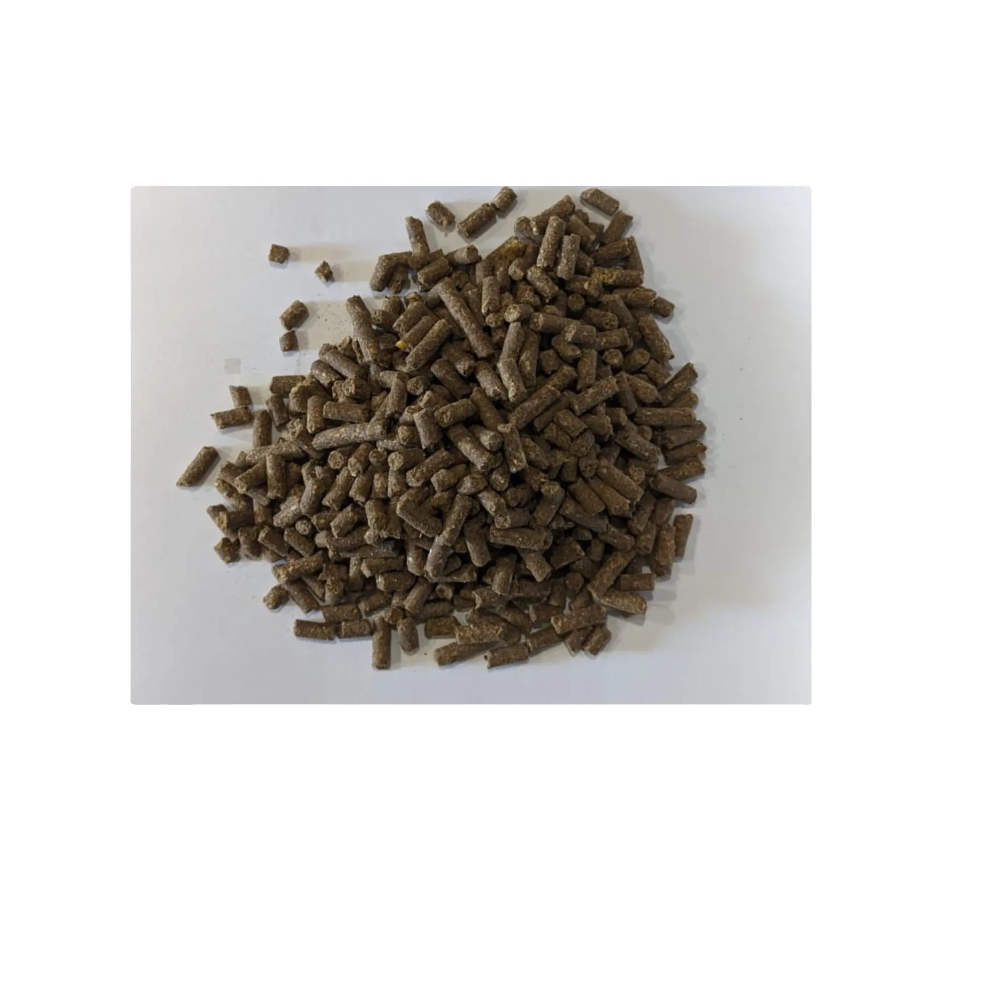 High Quality Animal Feed Organic Natural Cattle Feed at Bulk Price with good quality export form India