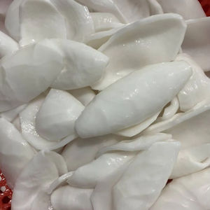 Viandes de noix de coco surgelées d'origine vietnamienne, fournisseur principal en gros, 2025 Offre Spéciale // Disponible en plusieurs formes - Product Image 6