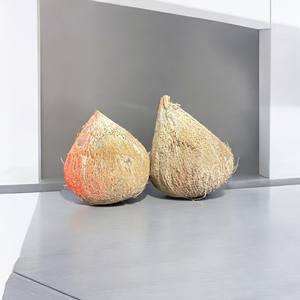 Exportaciones vietnamitas de cocos secos Productos agrícolas Premium - Product Image 2