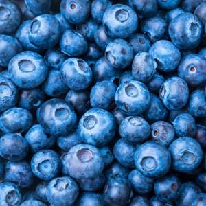 Fruits de Myrtille Frais Naturels Délicieux de Haute Qualité - Qualité Premium - Approvisionnement en Gros - Product Image 3