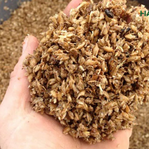 หมีต้มเบียร์สำหรับอาหารสัตว์/กากชงราคาถูกจากผู้จำหน่ายในเวียดนาม/WS + 84903708802 2024 - Product Image 6