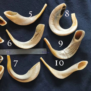 Corne casher yéménite de haute qualité Shofar corne à boire polie - Product Image 1