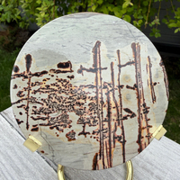 Vente en gros de plaques rondes de jaspe, ornements en cristal de guérison, sculptures circulaires pour la décoration Feng Shui