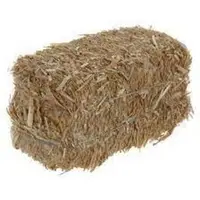 Vente de Paille de blé - Acheter votre paille en ligne - Hay Wrap Express