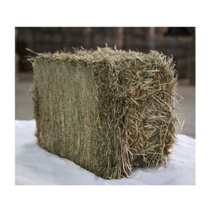 "Timothy Hay a la venta a precios bajos, heno Timothy de alta calidad para animales pequeños, conejos, cobayas y cuidado de mascotas" - Product Image 2