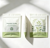 Kantong Teh Biodegradable Custom Grosir, Kertas Kraft PLA Food Grade, Kantong Filter Teh Segel Panas