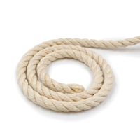 Corde en sisal naturel écologique 12 mm 15 m pour bricolage, ficelle de chanvre, décoration de fenêtre, remplacement pour griffoir d'arbre ou tour pour chat
