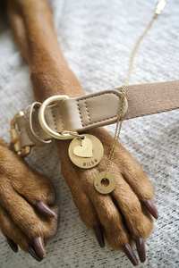 Natural Wood Custom Pet <b>Tag</b> - Engravable <b>ID</b> for Safe and Stylish Collars VIET FARGIMEX - Product Image 5