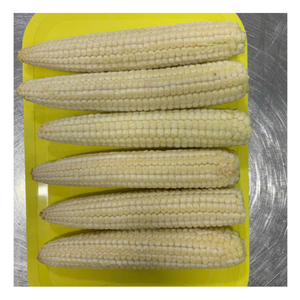 Maïs surgelé doré directement du Vietnam Maïs surgelé utilisé dans les desserts au lait Che Mélanges alimentaires et garnitures Inspirations en vrac - Product Image 3