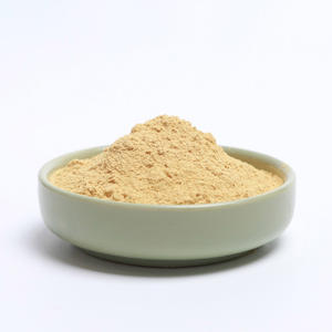 Poudre de jus d'ananas pur poudre de fruits tropicaux de qualité supérieure prix bon marché pour l'exportation meilleur prix - Product Image 4