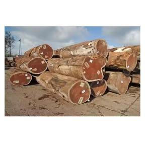 Troncos de madera natural Materias primas de madera Madera Iroko Madera Venta al por mayor Angola Construcción Pisos Construcción - Product Image 4