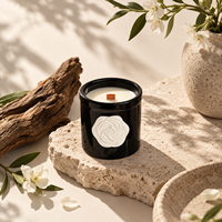 CAMET Vente en gros de bougies parfumées en céramique noire de luxe, ensemble cadeau, pot à bougie créatif en relief avec emballage personnalisé