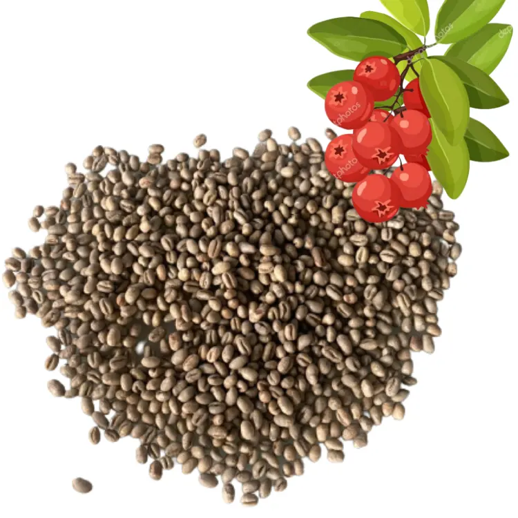 अरेबिका पीला BOURBON हरी बीन्स शहद के साथ वियतनामी थोक कम कीमत कॉफी बीन्स 98% परिपक्वता में नई फसल 2022-2023