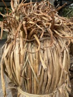 Produk Laris Terjual: Eceng Gondok Kering Mengapung, Harga Murah Bahan Eceng Gondok (Eichhornia Crassipes) Untuk Ekspor