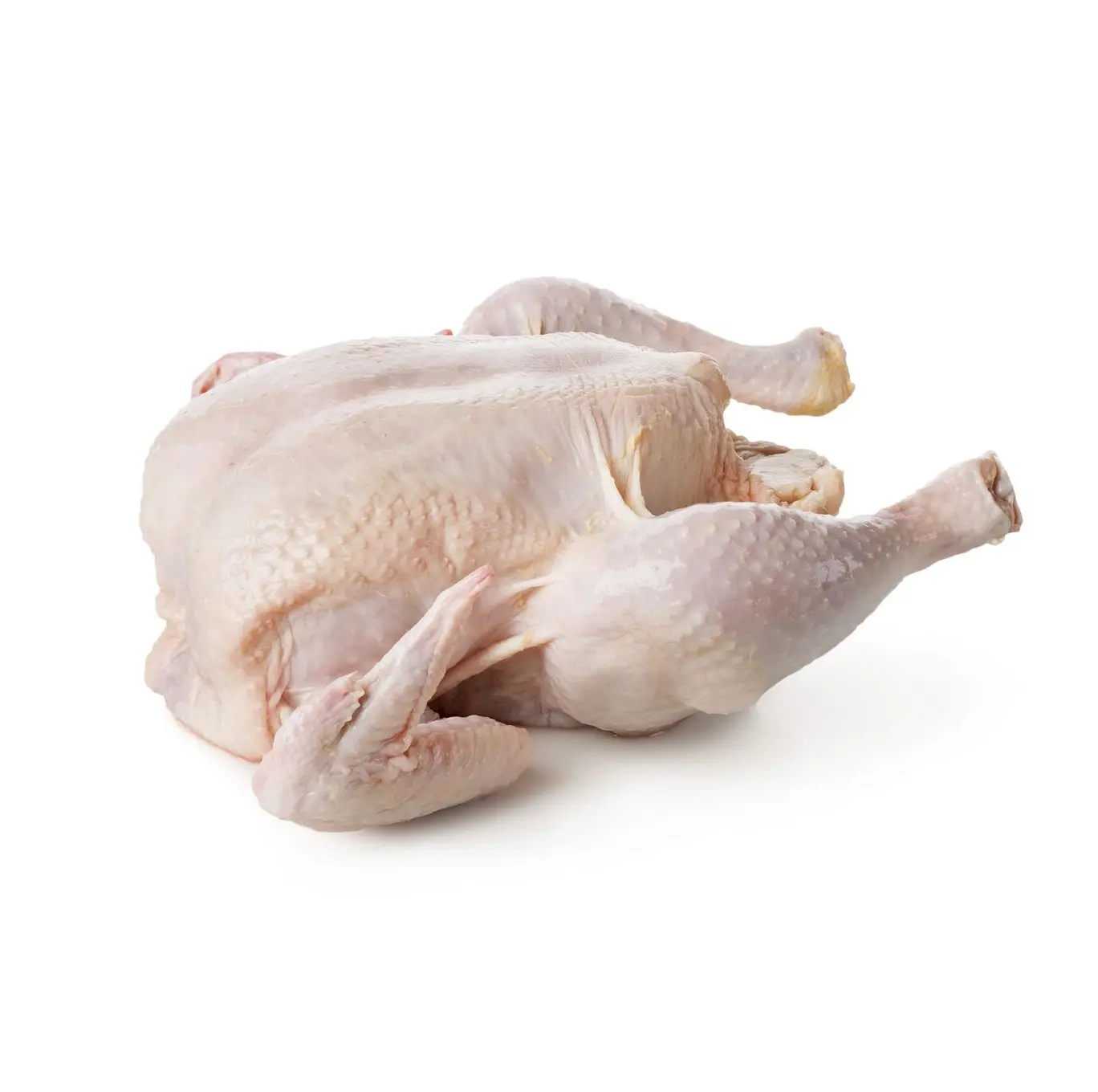 Whole Chicken Frozen / Halal Chicken Feet / Frozen Chicken Paws Brazil