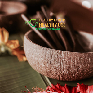 Meilleur vendeur 2025!! Bol de noix de coco fait à la main coquille/bol de coquille de noix de coco/bol de coquille de noix de coco avec cuillère en gros fabriqué au Vietnam - Product Image 5